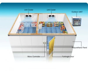 dual temperature cold storage